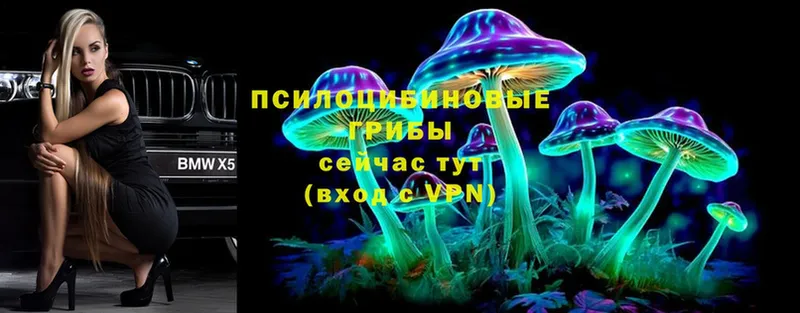 darknet формула  Инта  Псилоцибиновые грибы Magic Shrooms 